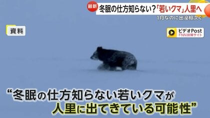 「冬は冬眠するものと…」1月なのにクマ出没相次ぐ…住宅の物置で“鉢合わせ”も　専門家「親グマ駆除され冬眠の仕方知らない若いクマか」