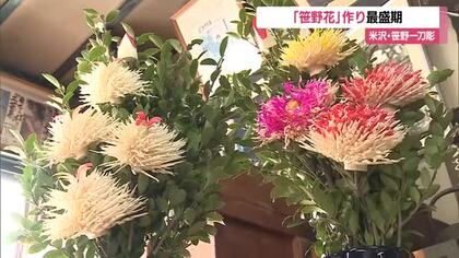 赤・黄・ピンク 色とりどりの笹野花作り最盛期　その歴史は1200年以上　山形・米沢市