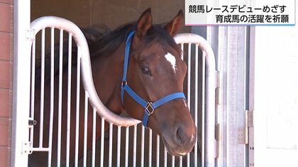 【JRA宮崎】「1頭でも多く勝利を」厳しい訓練を乗り越えた22頭の若駒たち　JRAブリーズアップセールを前に安全･活躍祈願