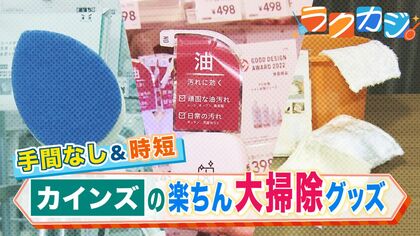 面倒なお掃除がサクッと終わる！「カインズ」の売れ筋 お掃除グッズ 浴室掃除はこれ1本 スプレーだけで油汚れに一撃 ひと拭きでOK万能ぞうきん