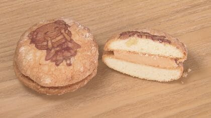 老舗和菓子店が人気商品「ちいずぷっちい」の総選挙　菓子をキャラクター化して公約を設定　長野・伊那市