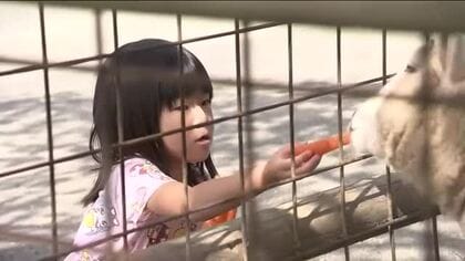 行楽の秋・郡山市の牧場賑わう　動物たちは食欲の秋！？　連休に合わせイベント開催、約2000人が訪れる