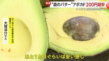 3月中頃まで安く買える」アボカド“売値100円台前半”も メキシコで記録