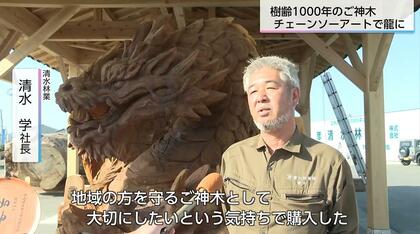 岡山を守り続けたご神木は宮崎で龍になった 倒木した樹齢1000年のスギ