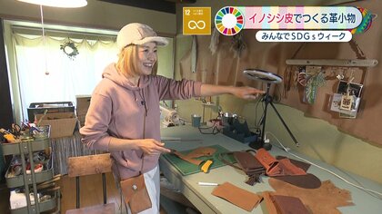 木の根革無き済み