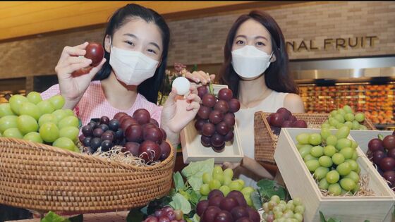 百貨店の韓国産ルビーロマン宣材写真