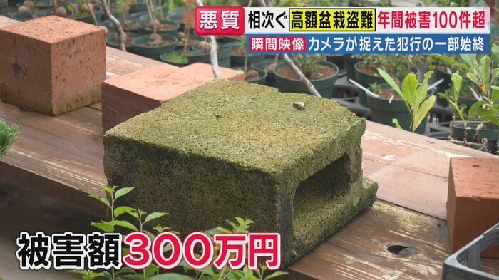 被害額は300万円にのぼる(関西テレビ「旬感LIVE とれたてっ!」より)