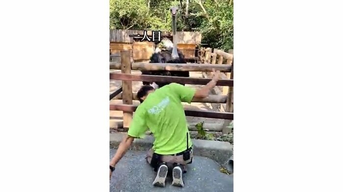 1人目の男性飼育員 キレのある踊りを披露