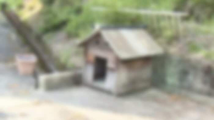 現場付近