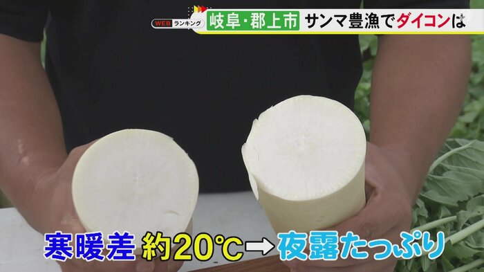 ニュースONE