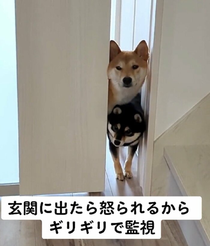 顔だけ出してギリギリで監視