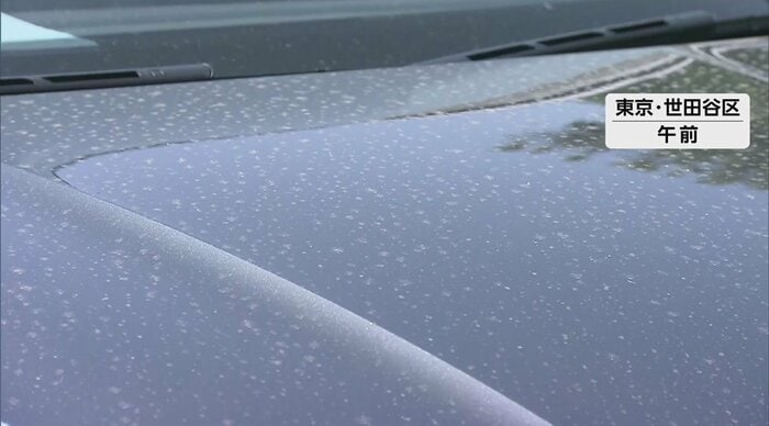 黄砂で汚れた車