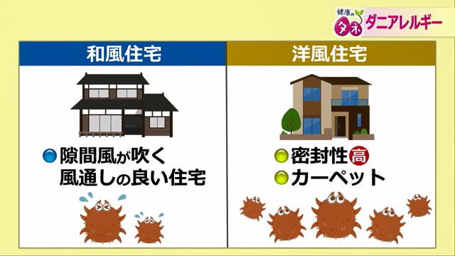 洋風住宅はダニの繁殖地帯になりやすい ダニアレルギーが増えてきた原因の一つとも