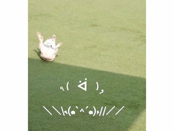 提供:むぎさん