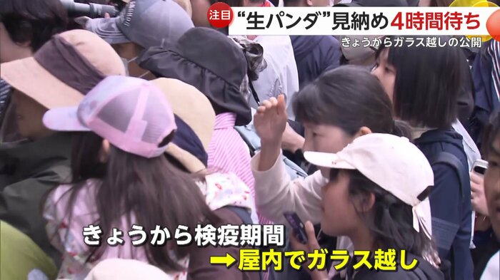 26日から検疫期間となりガラス越しでの公開となった