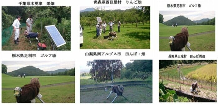 (画像提供:太田精器)