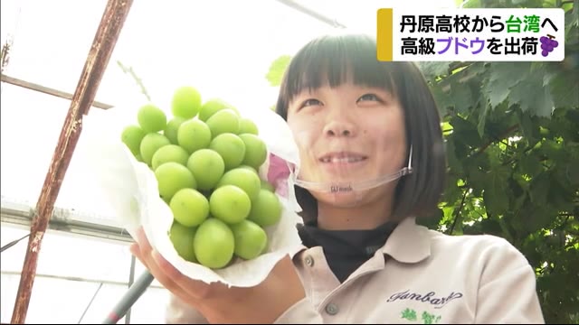 丹原高校で育てた国際基準の高級ブドウ 台湾に向け出荷【愛媛】