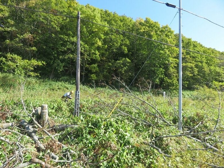 「線路沿いの木をチェーンソーで切った」樹木切断し通信ケーブルに倒木接触させた疑い…神奈川県の23歳男を逮捕…ノロッコ号ラストラン前に人気の撮影スポットで”撮り鉄”の暴走か…JR釧網線〈北海道釧路町〉｜FNNプライムオンライン