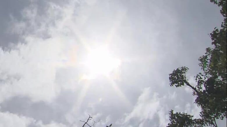【速報】今年初めての真夏日　佐賀市で観測（佐賀県）｜FNNプライムオンライン