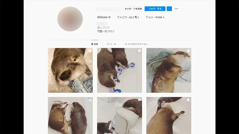 （Instagramより）