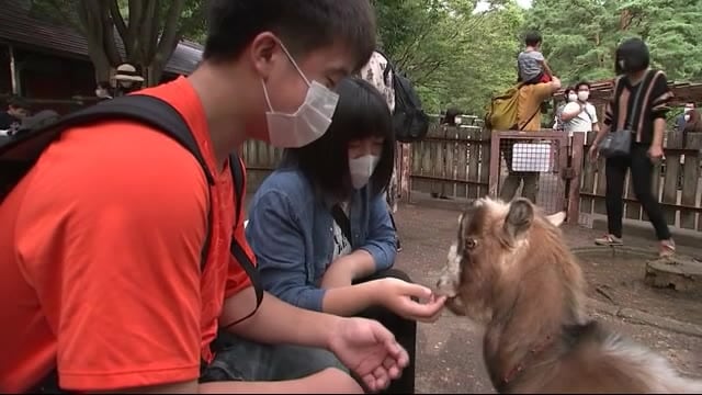 動物たちが大人気! 盛岡市動物公園ZOOMOに新たな仲間が…<岩手・盛岡市>