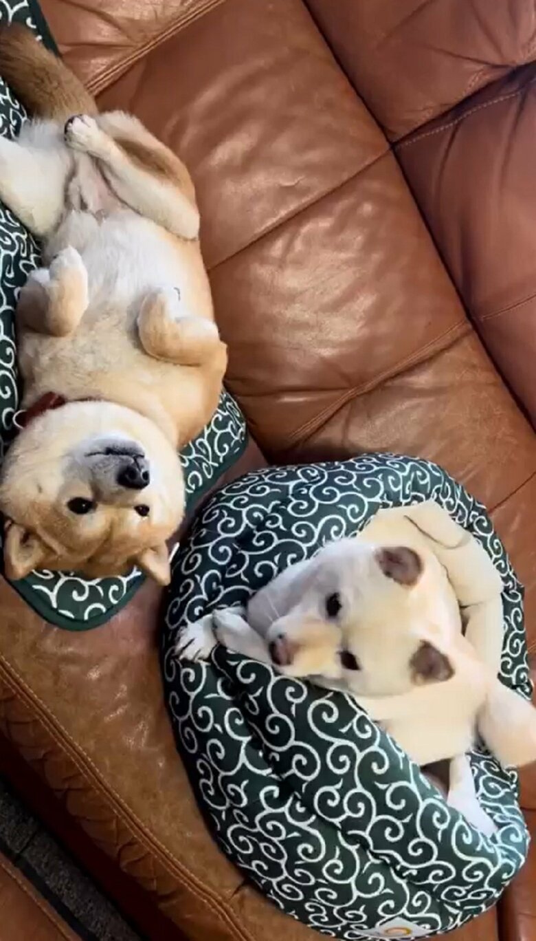 まったり共に過ごすことも…