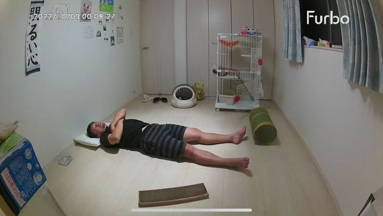 子猫部屋でぐっすり（提供：oimo & yuzukiさん）