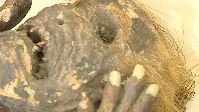 キューティクルも確認されている