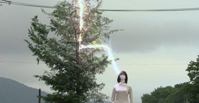 提供：電力中央研究所