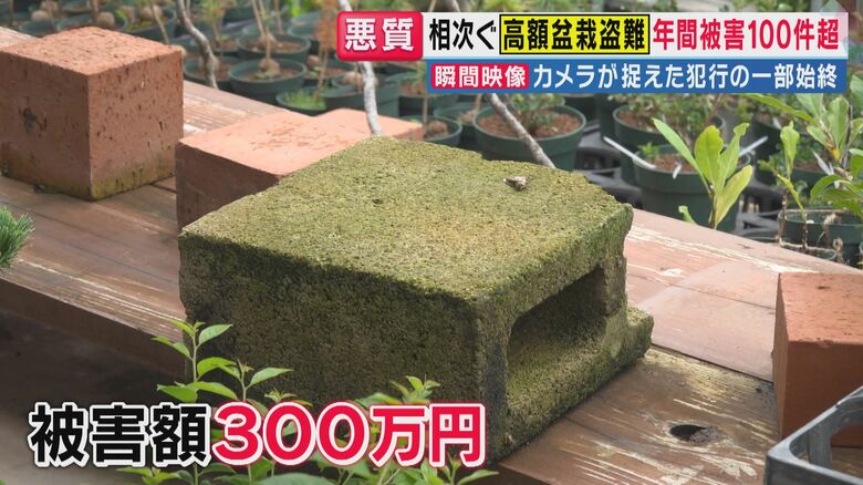 被害額は300万円にのぼる（関西テレビ「旬感LIVE とれたてっ！」より）