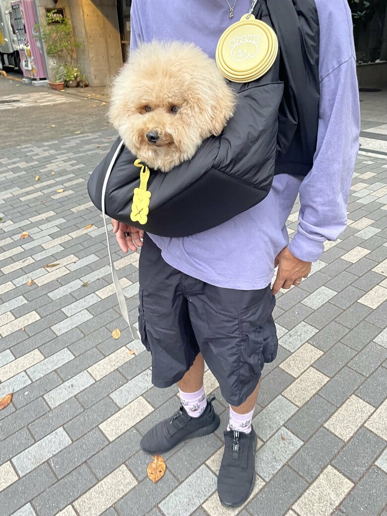 バッグに入っておでかけ