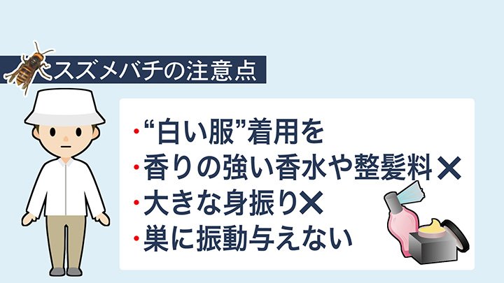 スズメバチ被害にあわないための注意点