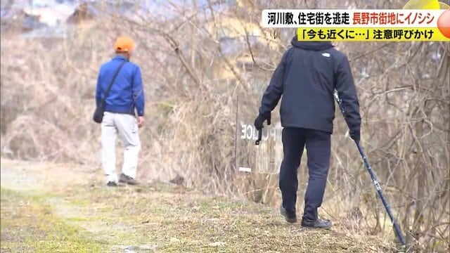 捜索