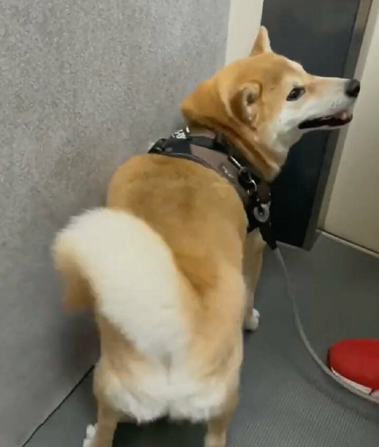 「もうやめちゃうの？」