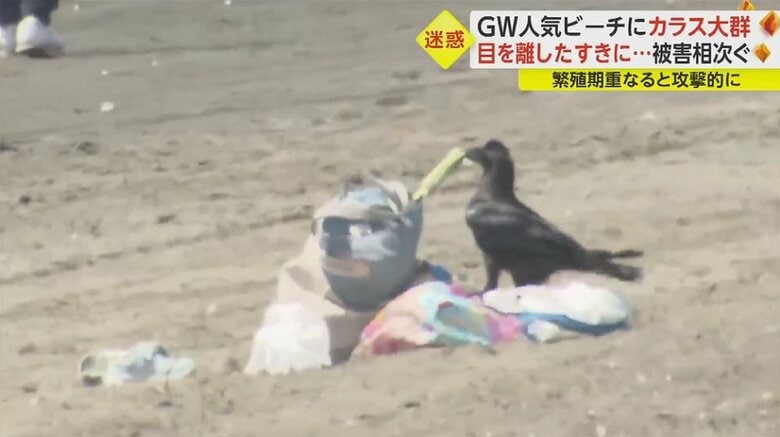 カバンからお菓子のようなものを引っ張り出す