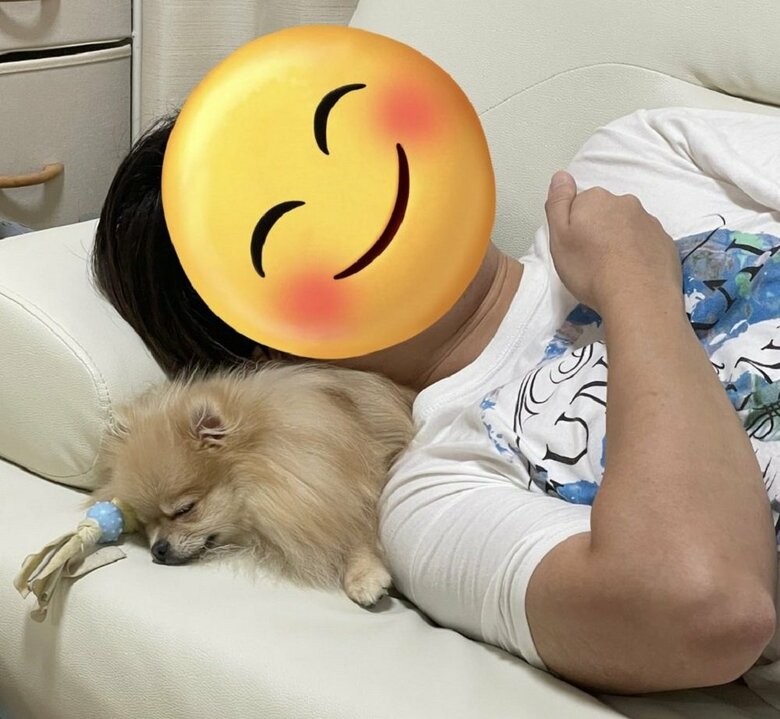 パパさんとソファの隙間に入ってぐっすり