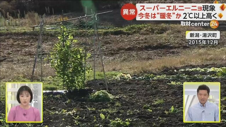 2015年9月のスーパーエルニーニョが発生時、新潟県湯沢町の草が生い茂ったゲレンデ