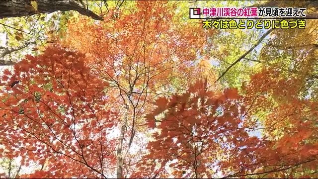紅葉と渓流が絶景を…中津川渓谷<福島県>