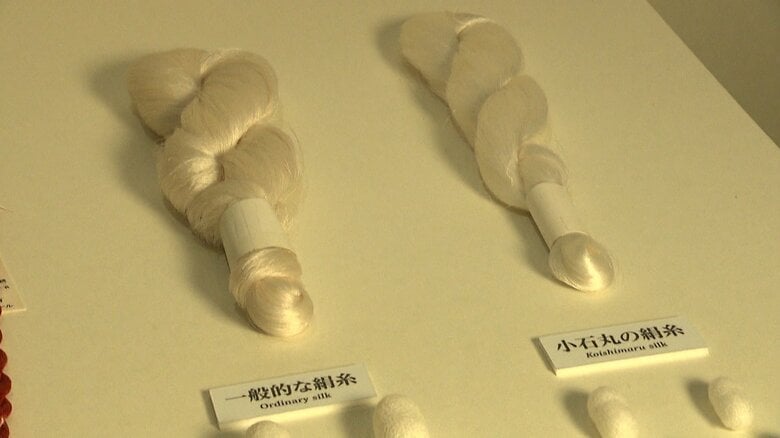 会場内に展示された「小石丸」の絹糸