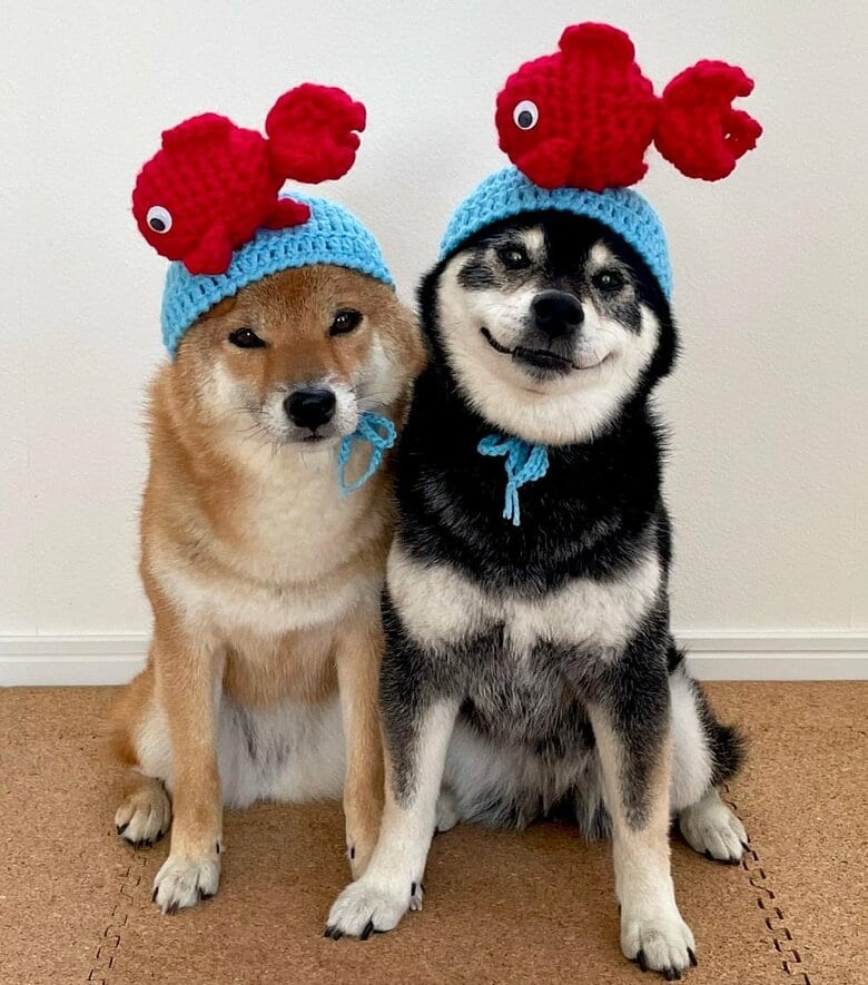 金魚を頭にのせて…