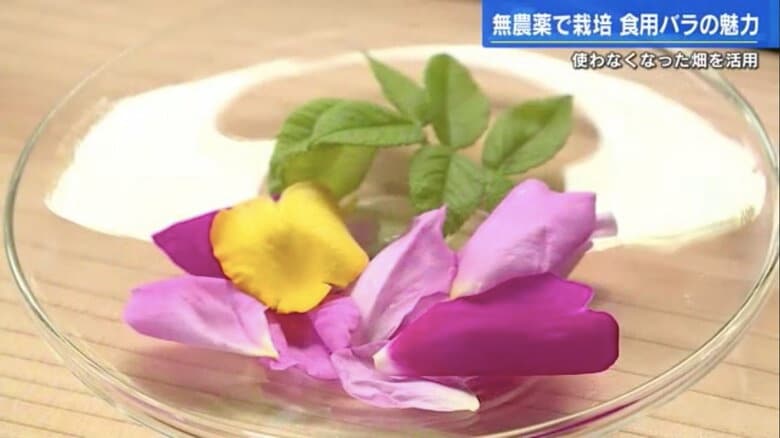 バラの花びらのサラダ