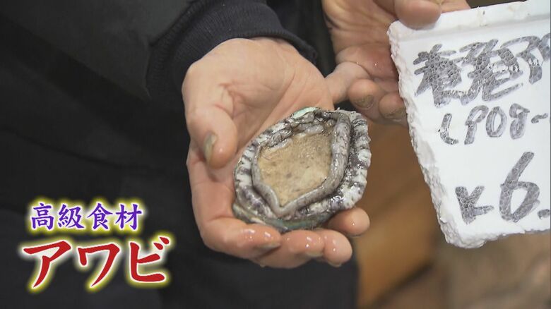 アワビは「不老長寿の象徴」とされている