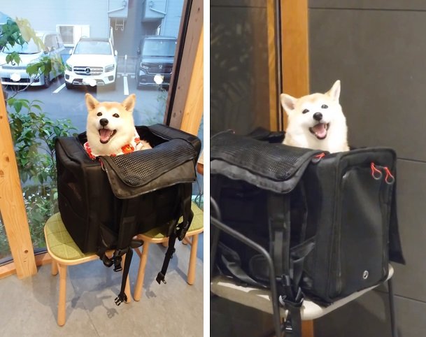 別の日に病院に行った時のチャーミーちゃん。やはりお会計中にニコニコ！