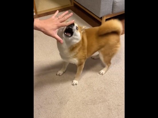 「うわあー！」