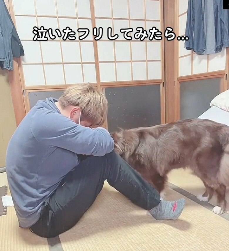 どうしたの？と顔をのぞくテールちゃん