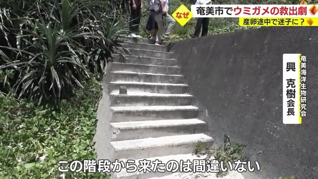 降りたとみられる階段