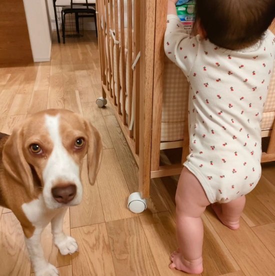 妹ちゃんを見守っている？じゃこちゃん