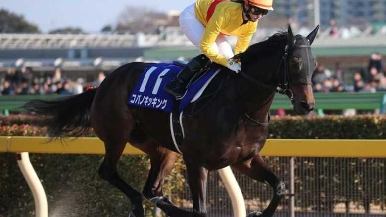 女性初・G1デビューで大健闘! 藤田菜七子騎手のスゴさはその「柔らかい騎乗技術」にあり