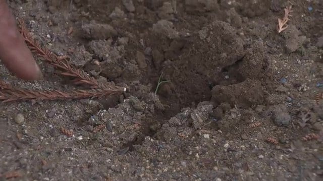 現場に残された爪の跡　