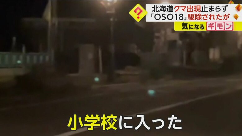 （視聴者撮影）